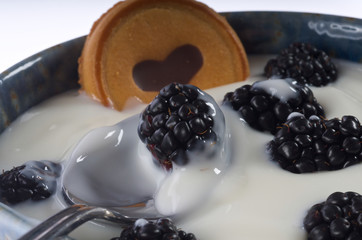 Blackberry Yogurt