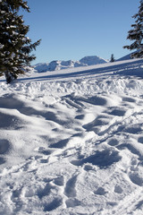 Obraz premium Winterlandschaft Tirol