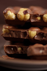 Chocolate with hazelnuts
