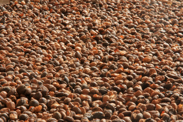 Frisch gerösteter Kaffee