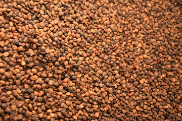 Frische gerösteter Kaffee