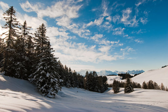 Winter scene above Amden