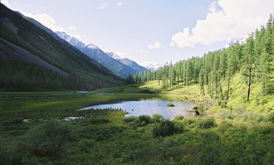 Fototapeta na wymiar The Altay landscape