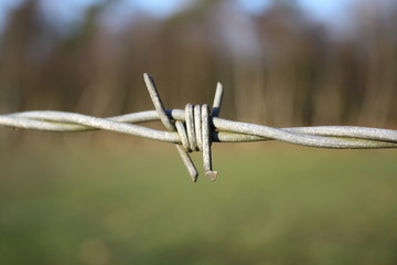 Stählernder Stacheldraht vor verschwommener Landschaft