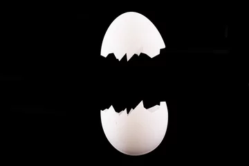 Fotobehang breaking egg © Dmitry Vereshchagin