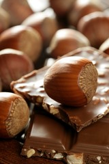 Hazelnuts and chocolate in brown enviroment