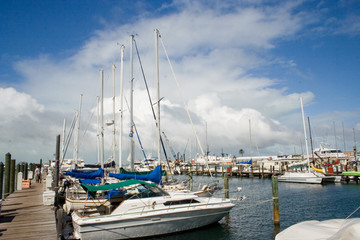 Fototapeta premium Marina in Key West