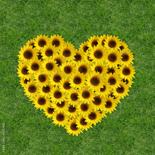 Free Free Sunflower Heart Svg 51 SVG PNG EPS DXF File