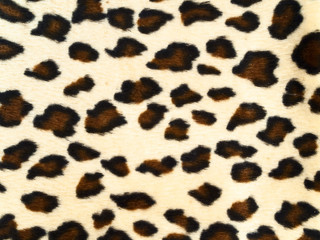 leopard background