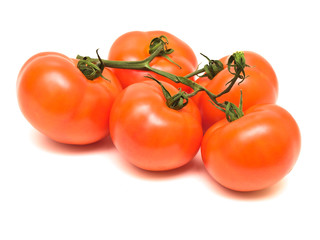 tomatoes