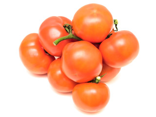 tomatoes
