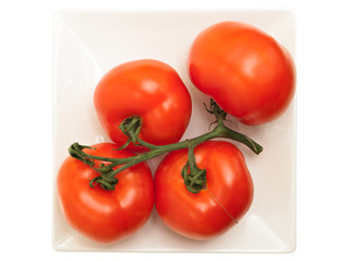 tomatoes in plate