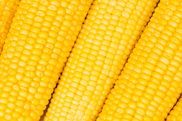 Extreme close up of yellow corn cobs