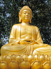 Buddha Statue in Xian, China.