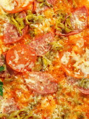 Meat Pizza
