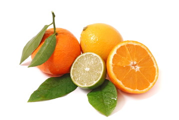 citrus