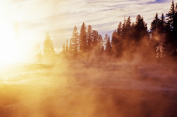 Foggy morning