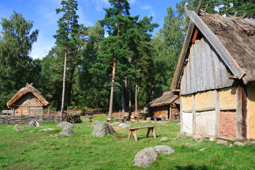 Naklejka premium Vikings village