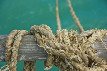 Fototapeta premium Weedy rope