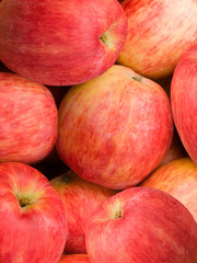 Fruit apples