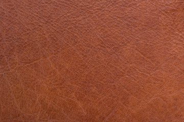 Fototapeta premium Natural leather texture