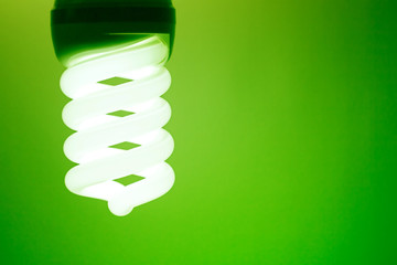 Compact Fluorescent Light Bulb.