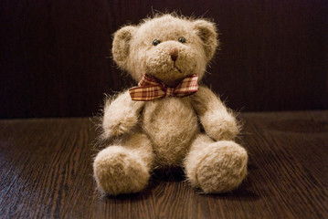 teddy bear