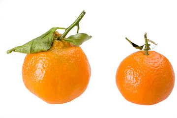 zwei Mandarinen isoliert auf weißem Hintergrund
