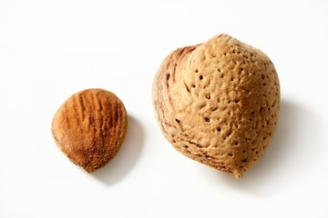 Almond macro image over white background