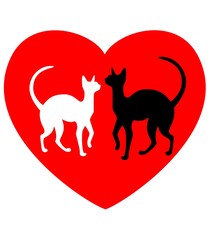 Two enamoured cats against red heart