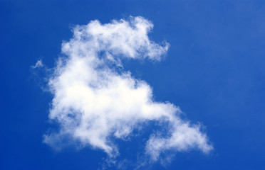 Fototapeta premium wolke