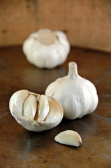 Garlic