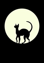Silhouette of a black cat against the moon