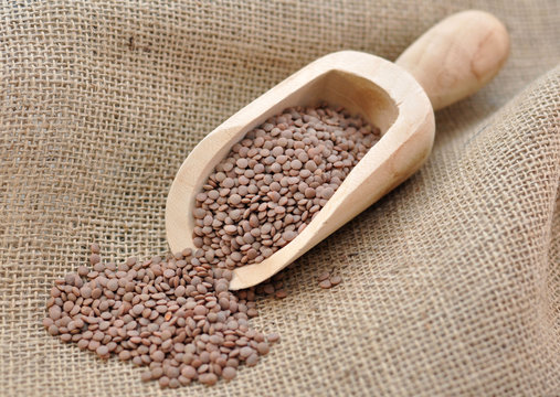lenticchie