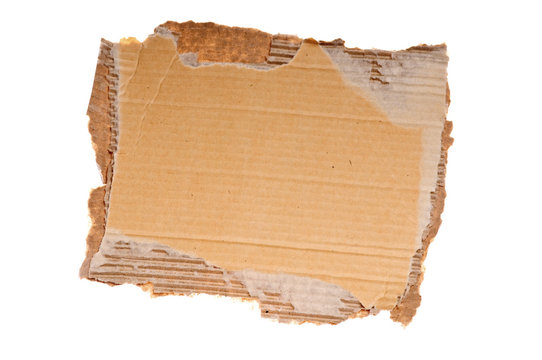 cardboard scrap