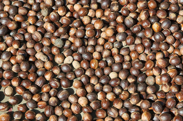 close up image of nutmeg