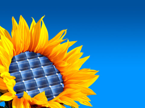 girasole solare