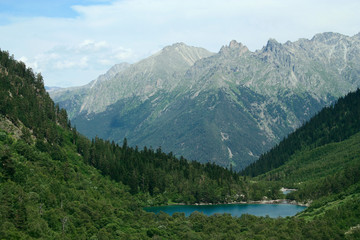 Fototapeta na wymiar forest lake