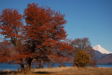 Fototapeta premium Patagonian Landscape in Autumn