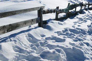 neve