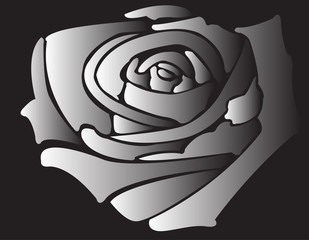 silhouette de rose
