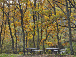 Otoño