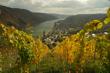 Oberwesel 08