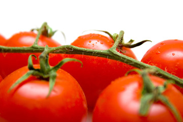 tomatoes on the green branch