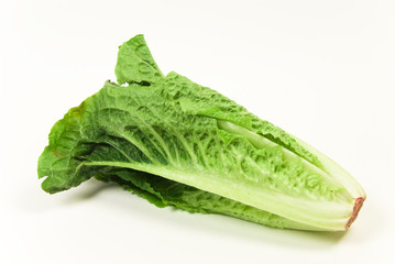 fresh organic baby cos lettuce on white background