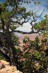 Grand Canyon National Park, USA..