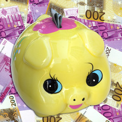 un petit cochon bien riche !