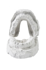 Mold of a full set of human teeth © vadim kozlovsky