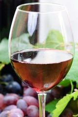 Wine composition