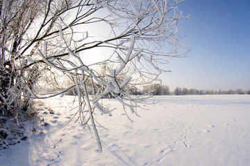 Winterlandschaft